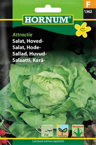 Hovedsalat