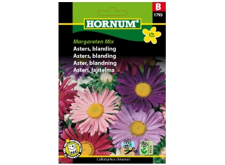 Asters Blanding