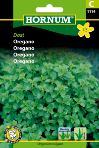 Oregano - Dost