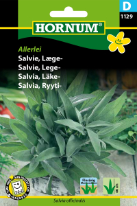 Salvie, Læge-