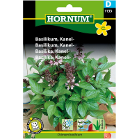 Basilikum, Kanel-