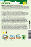 Citrontages - Smalbladet