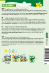 Basilikum, Salat-