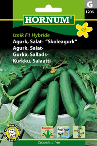 Agurk - Iznik