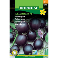 Aubergine - Ophelia F1