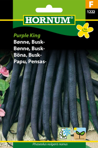 Bønne - Purple King