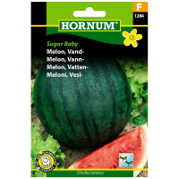Vandmelon