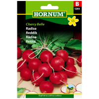Radise Cherry Belle