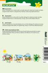 Salat - Hoved-
