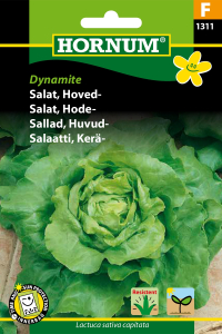 Salat - Hoved-