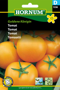 Tomat - Golden Königin