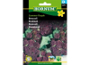 Broccoli - Summer Purple