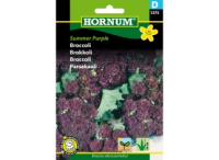Broccoli - Summer Purple