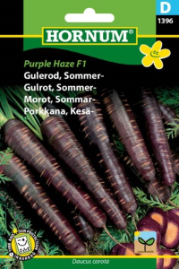 Gulerod - Sommer