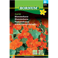 Blomsterkarse - Scarlet