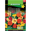 Blomsterkarse