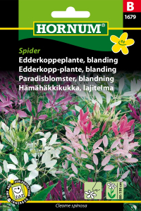 Edderkoppeplante Bland