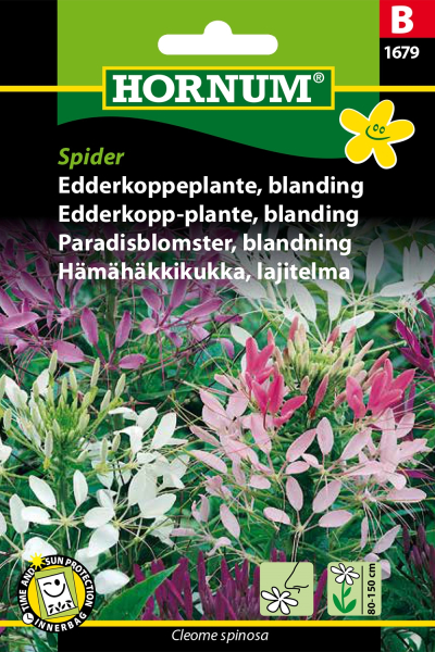 Edderkoppeplante Bland
