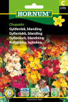 Gyldenlak - blanding