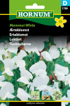 Ærteblomst - Mammut white