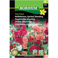 Mølleblomst