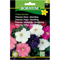 Petunia - Pretty Garden