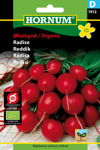 Radise - Cherry Belle