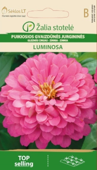 Frøkenhat - Luminosa