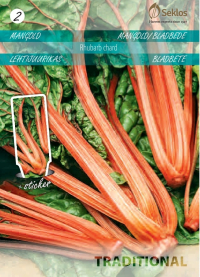 Bladbede - Rhubarb Chard