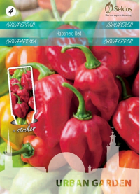 Chili - Habanero Red