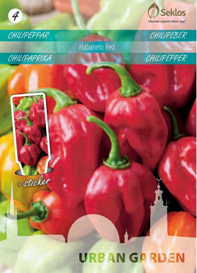 Chili - Habanero Red