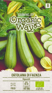 Squash Ortolana - Økologisk