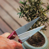 Mini snips