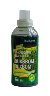 Feed & Shine koncentrat - Buksbom