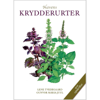 Krydderurter