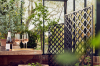 Laventine designskærm - sort