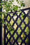 Laventine designskærm - sort
