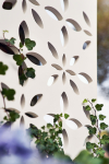 Gerbera designskærm - hvid