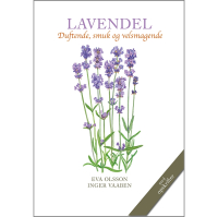 Lavendel