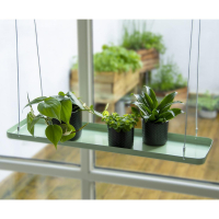 Plantehylde grøn L