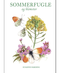 Sommerfugle og Blomster