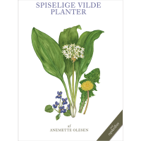 Spiselige vilde planter