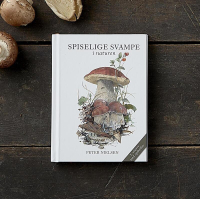 Spiselige Svampe