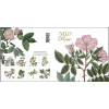 Kortmappe - Vild Rose